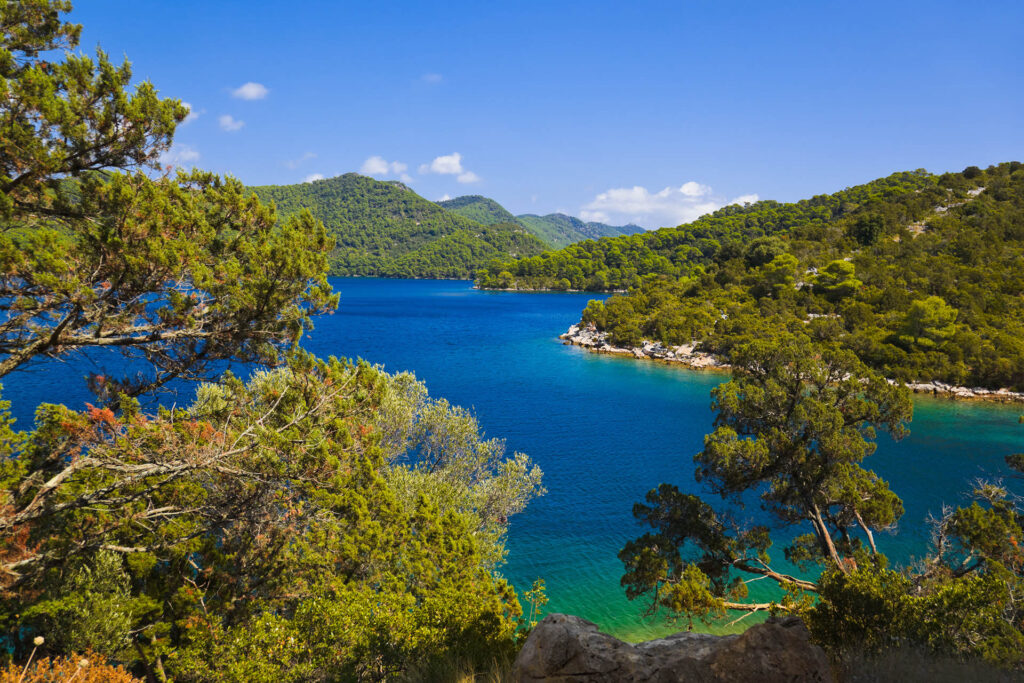 Captivating landscape of Mljet National Park: Tranquil lakes, lush greenery, and scenic beauty on the Croatian island of Mljet.